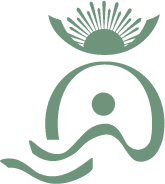 Favicon Sanar House Wellness Ibiza